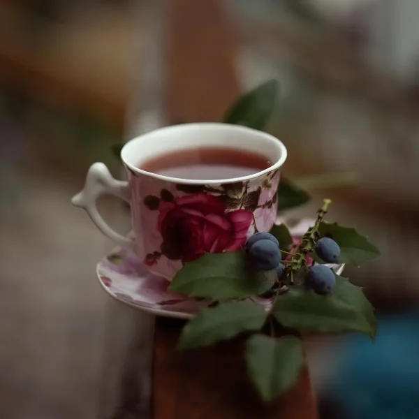 Ceai de fructe de pădure
